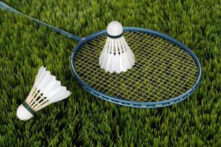 Godrej Ascend Amenities - 2 Badminton Courts